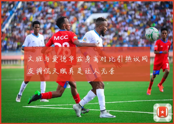 文班与爱德华兹身高对比引热议网友调侃天赋真是让人无奈